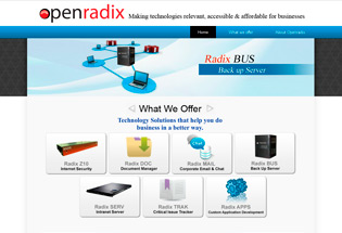 Openradix Network Solutions Website Design