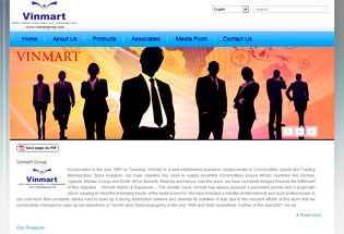 Vinmart Group Website Design